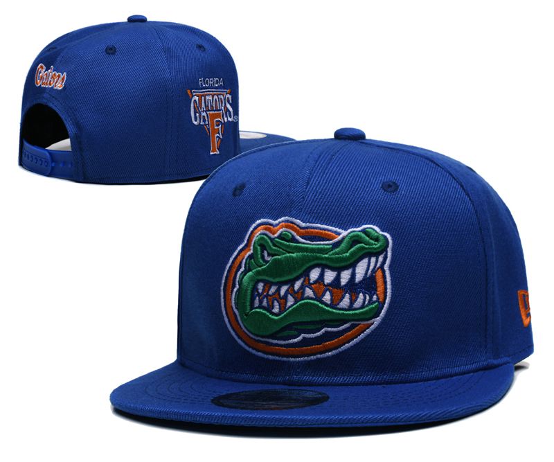2025 NCAA Florida Gators Hat YS20254111->ncaa hats->Sports Caps